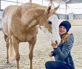 dmriding Pferdetraining Ostschweiz Bild 1