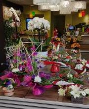 Carrément Fleurs - Fleuriste Feurs 42 - Livraison de fleurs à domicile image 5