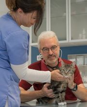 Tierarztpraxis Oppenheim Bild 12