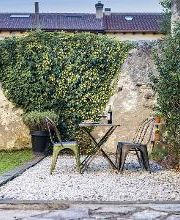 La Casa del Farmacéutico imagen 10