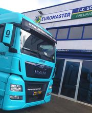 T.Z. Gomme Euromaster immagine 3