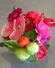 Flora et labora Assia Frankl Bild 6