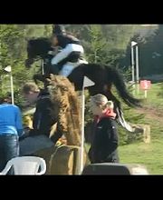 Reitschule Hess Bild 3