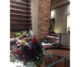Gallery Cliente