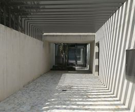 BAUM Studio Sagl Bild 2