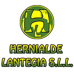 hernialde-lantegia-logo.png