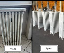 Decap Renov image 17