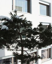 Résidence La Girarde Bild 1