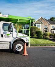 SavATree - Tree Service image 2