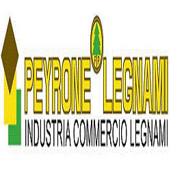 Ettore Peyrone di Peyrone Ettore & C. S.N.C logo