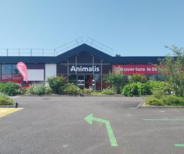 Animalis Limoges image 5