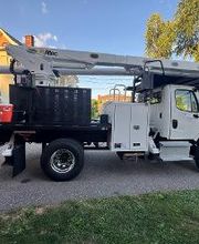 Owen's Tree Expert image 16