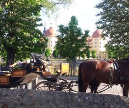 Schloss-Teichhaus Bild 1