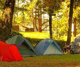 Camping Port Sable image 10