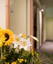 Gallery Professionale