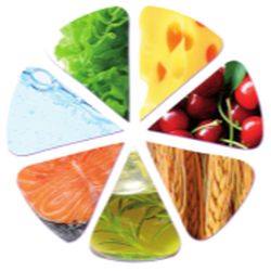 Die Essberater - Sandra Gärtner: Ernährungsberatung u. Ernährungstherapie Berlin