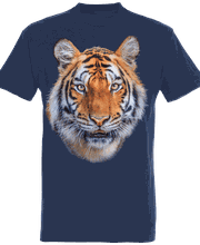 18337667-3-AWDISVvLJW1780476870821.png