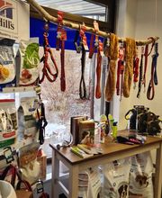 Anisano Tierarztpraxis Bild 7