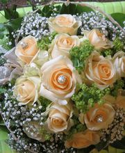 Blumen Metzler Bild 1