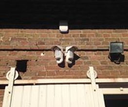Systeo Protection image 4