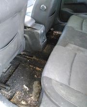 Atome Esthétique Auto image 2