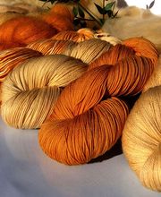 Un mouton dans l'Herbe image 20