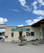 GAMM VERT image 1