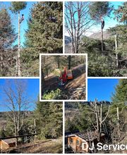 D.J Services Multiservices image 20