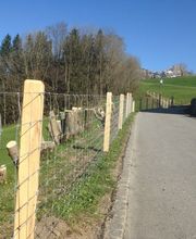 Zaunteam Appenzellerland Bild 5