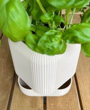 FAST LAYER VARIUS Bild 11