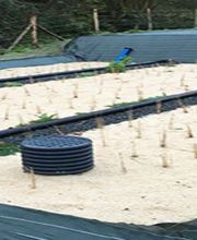 Thierry Lemée TP image 4