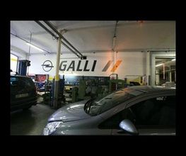 Gallery Cliente