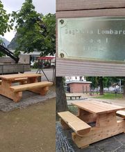 🌲 Segheria Lombardi Sagl 🌲 Bild 8