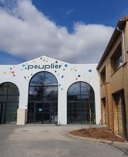 Anisoptera Coaching image 1