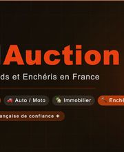 BidAuction image 1
