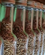 Domschatten Privatbrauerei Bild 3