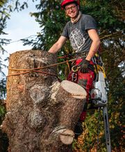 Samuel Fischer Baumpflege Bild 2