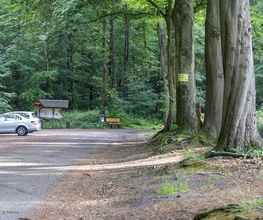 FriedWald Cloppenburg Bild 16