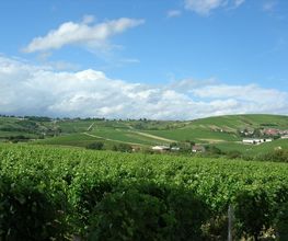 La Barbotaine Champault Frédéric image 3