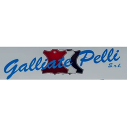 Galliate Pelli logo
