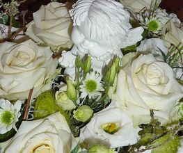 Blumen Villiger GmbH Bild 5