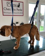 Chez Miss Perle image 17