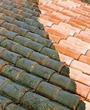 Wiss Christophe image 5