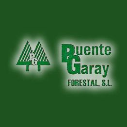 puentegaray.jpg