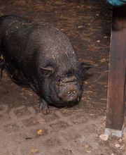 Margeritenhof, tegeler Pflege & Gesundheit Bild 2