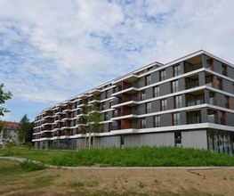 Zollinger Immobilien Bild 10