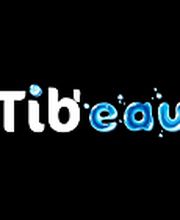 Tib Eau Plomberie image 8