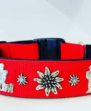 dogsland GmbH Bild 1