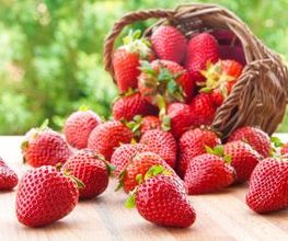 Frutería Hajar imagen 5