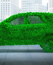 Allianz General Vertretung Reumann & Grieß OHG Bild 2